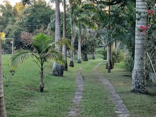 Sítio e chácara venda em Cachoeiras de Macacu, Região Geográfica Intermediária do Rio de Janeiro