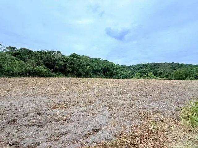 Sítio e chácara venda em Região Geográfica Imediata de Rio Bonito, Região Metropolitana do Rio de Janeiro