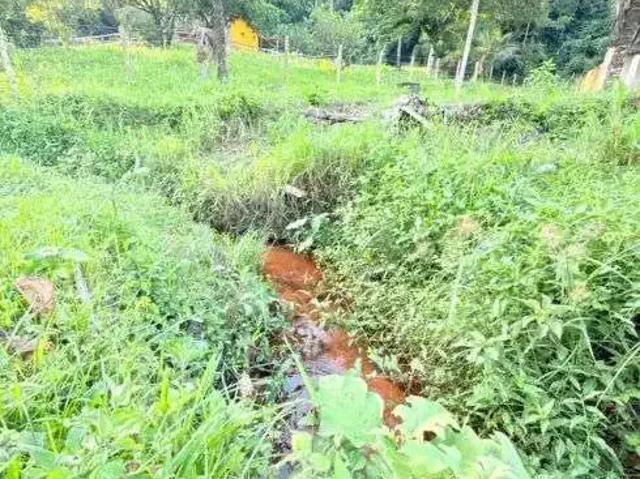 Sítio e chácara venda em Região Geográfica Imediata de Rio Bonito, Região Metropolitana do Rio de Janeiro