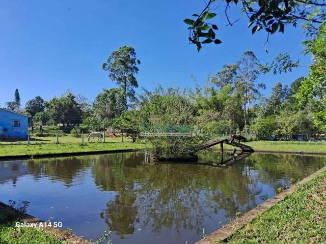 Sítio e chácara venda em Cachoeirinha