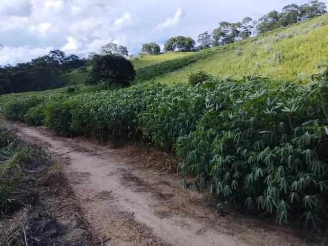 Sítio e chácara venda em Região Geográfica Imediata de Cachoeiro de Itapemirim, Cachoeiro de Itapemirim