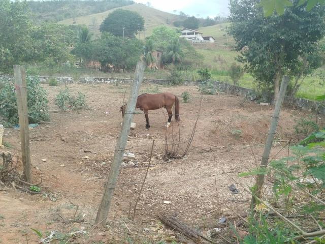 Sítio e chácara venda em Região Geográfica Imediata de Cachoeiro de Itapemirim, Cachoeiro de Itapemirim
