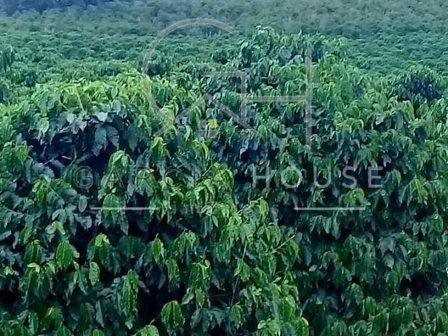 Sítio e chácara venda em Caconde, Região Geográfica Intermediária de Campinas