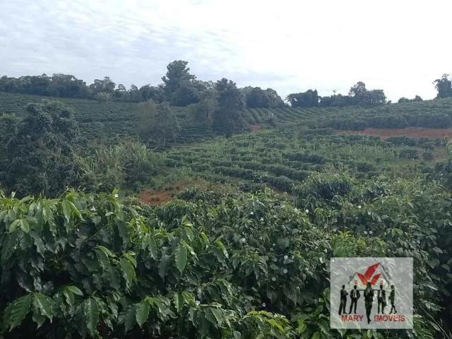 Sítio e chácara venda em Caconde