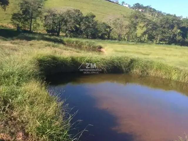 Sítio e chácara venda em Região Imediata de São José do Rio Pardo-Mococa, Caconde