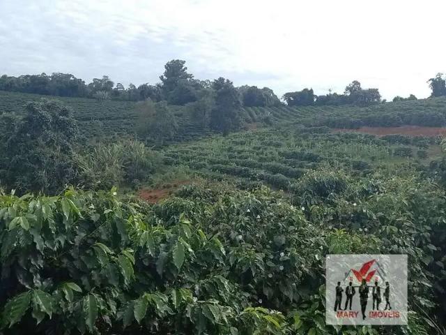 Sítio e chácara venda em Região Imediata de São José do Rio Pardo-Mococa, Caconde
