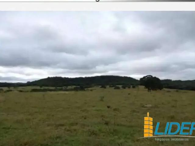 Sítio e chácara venda em Região Geográfica Imediata de Jataí-Mineiros, Caiapônia