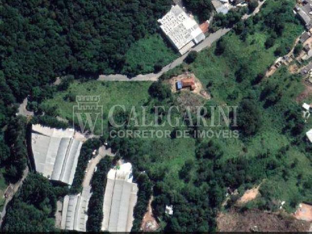 Sítio e chácara venda em Parque São Rafael, Caieiras