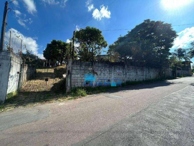 Sítio e chácara venda em Jordanésia, Cajamar