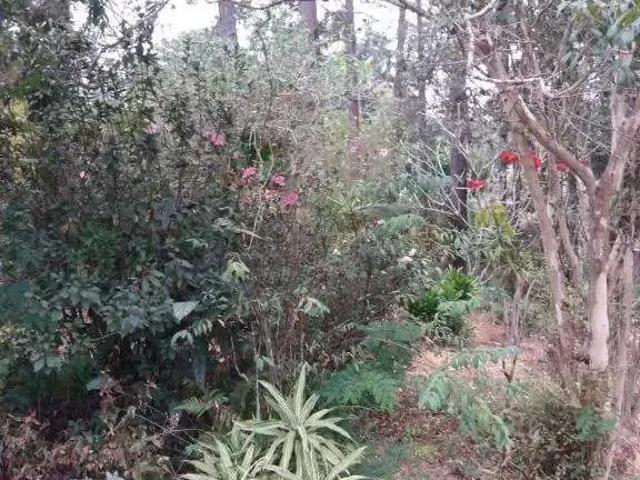Sítio e chácara venda em Região Imediata de São Paulo, Região Metropolitana de São Paulo
