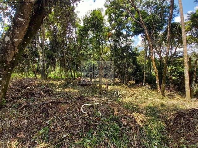 Sítio e chácara venda em Região Imediata de São Paulo, Região Metropolitana de São Paulo