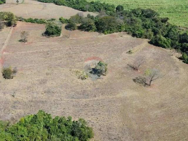 Sítio e chácara venda em Região Imediata de Ribeirão Preto, Região Metropolitana de Ribeirão Preto