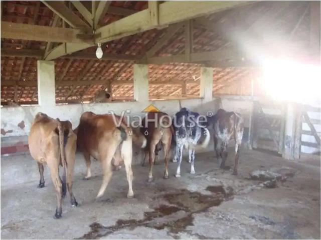 Sítio e chácara venda em Região Imediata de Ribeirão Preto, Região Metropolitana de Ribeirão Preto