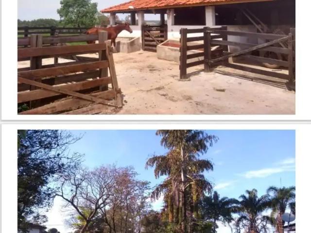 Sítio e chácara venda em Região Imediata de Ribeirão Preto, Região Metropolitana de Ribeirão Preto