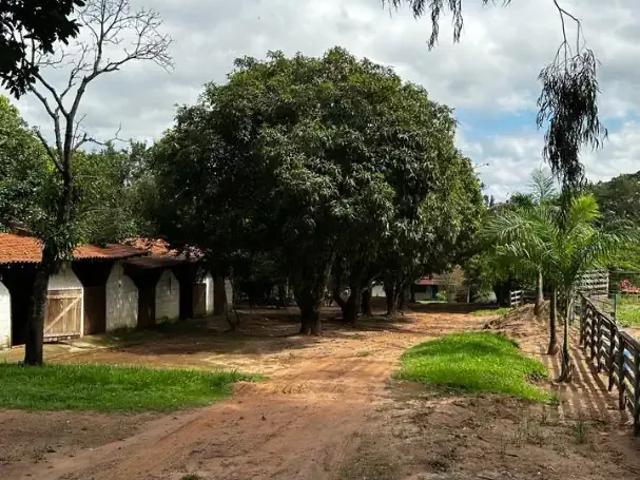 Sítio e chácara venda em Região Imediata de Ribeirão Preto, Região Metropolitana de Ribeirão Preto