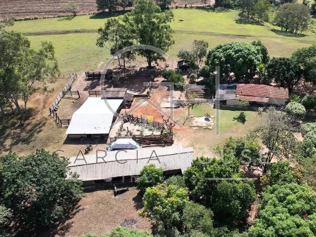 Sítio e chácara venda em Cajuru, Região Geográfica Intermediária de Ribeirão Preto