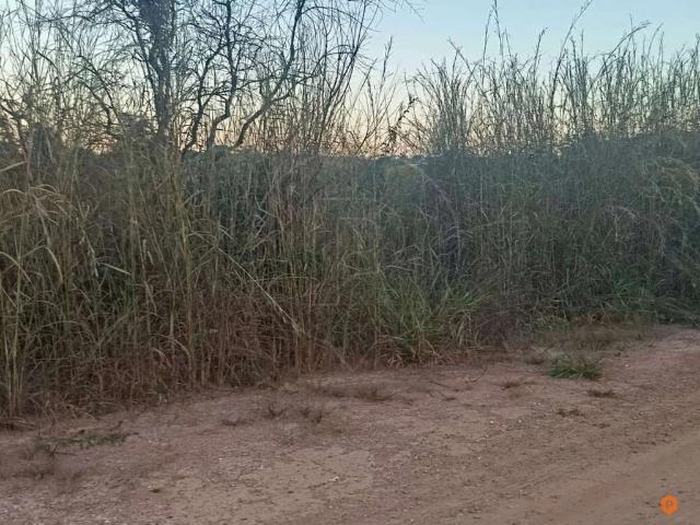 Sítio e chácara venda em Caldas Novas, Região Geográfica Intermediária de Itumbiara