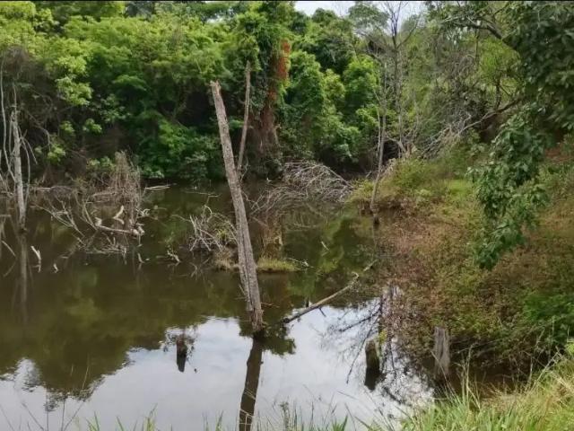 Sítio e chácara venda em Região Geográfica Imediata de Caldas Novas-Morrinhos, Caldas Novas
