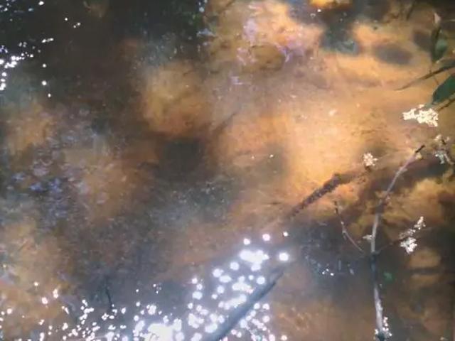 Sítio e chácara venda em Região Geográfica Imediata de Ipatinga, Região Metropolitana do Vale do Aço