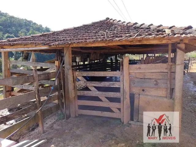 Sítio e chácara venda em Região Geográfica Imediata de Ipatinga, Região Metropolitana do Vale do Aço