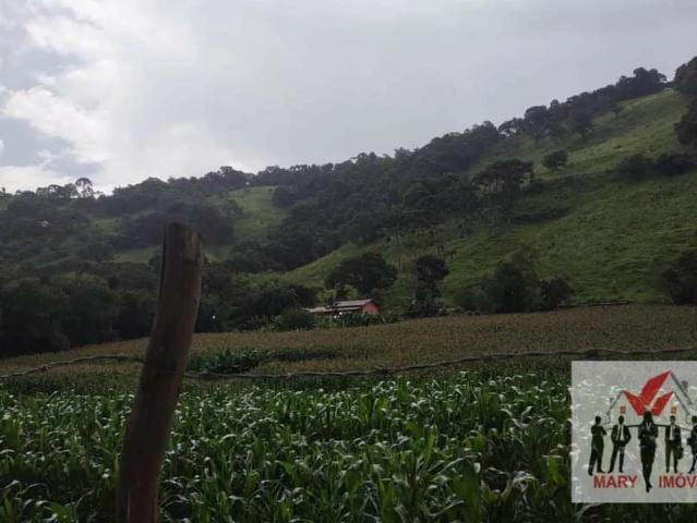 Sítio e chácara venda em Laranjeiras de Caldas, Caldas