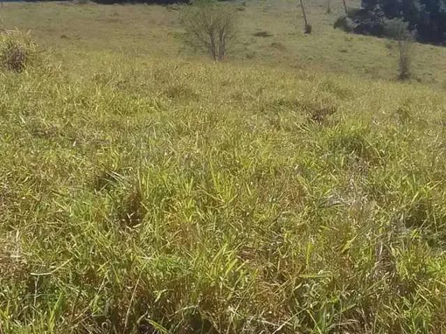 Sítio e chácara venda em Região Geográfica Imediata de Poços de Caldas, Caldas