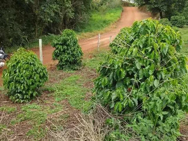Sítio e chácara venda em Região Geográfica Imediata de Poços de Caldas, Caldas