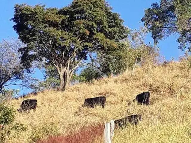 Sítio e chácara venda em Região Geográfica Imediata de Poços de Caldas, Caldas