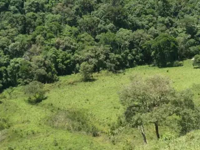 Sítio e chácara venda em Região Geográfica Imediata de Ipatinga, Região Metropolitana do Vale do Aço