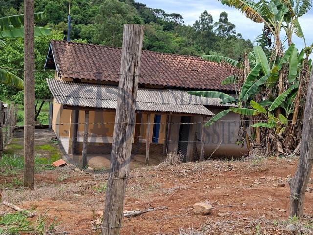 Sítio e chácara venda em Laranjeiras de Caldas, Caldas