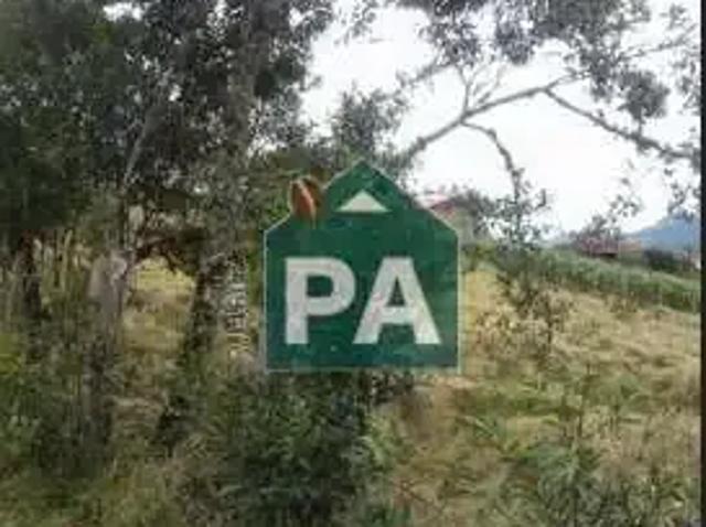 Sítio e chácara venda em Região Geográfica Imediata de Poços de Caldas, Caldas