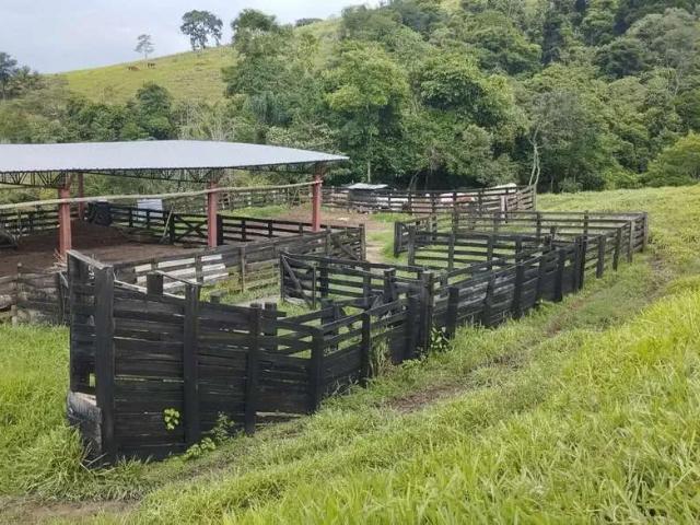 Sítio e chácara venda em Região Geográfica Imediata de Poços de Caldas, Caldas