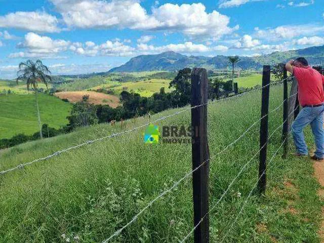 Sítio e chácara venda em Região Geográfica Imediata de Poços de Caldas, Caldas