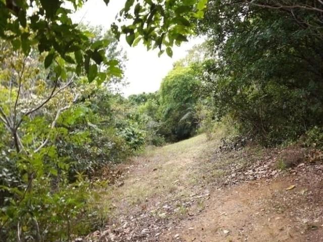 Sítio e chácara venda em Vila Bela Vista, Camaçari