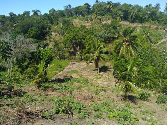 Sítio e chácara venda em Região Geográfica Imediata de Salvador, Região Metropolitana de Salvador