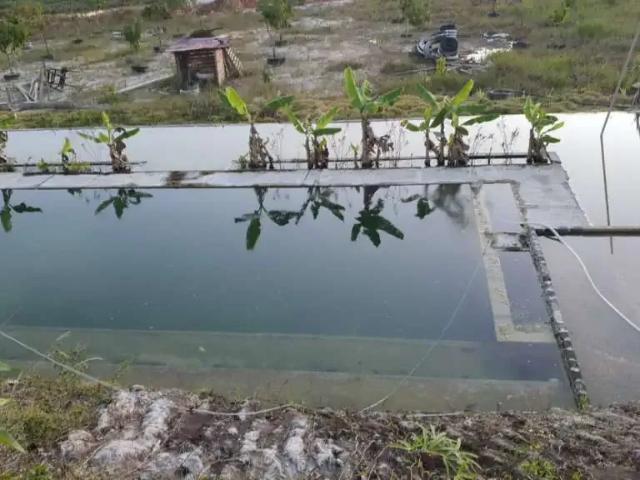 Sítio e chácara venda em Região Geográfica Imediata de Salvador, Região Metropolitana de Salvador