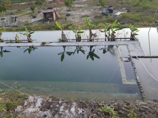 Sítio e chácara venda em Região Geográfica Imediata de Salvador, Região Metropolitana de Salvador