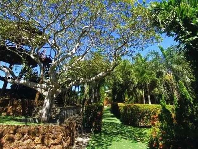Sítio e chácara venda em Região Geográfica Imediata de Salvador, Região Metropolitana de Salvador