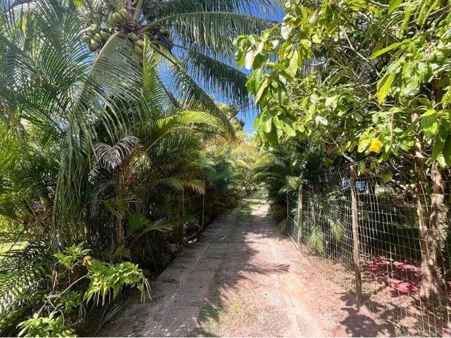 Sítio e chácara venda em Região Geográfica Imediata de Salvador, Região Metropolitana de Salvador