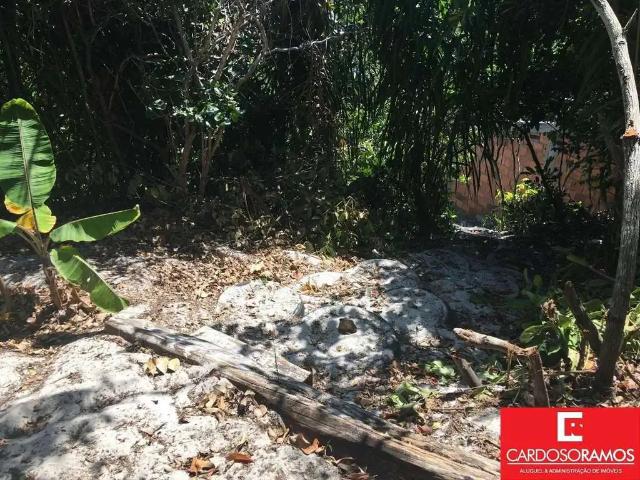 Sítio e chácara venda em Região Geográfica Imediata de Salvador, Região Metropolitana de Salvador