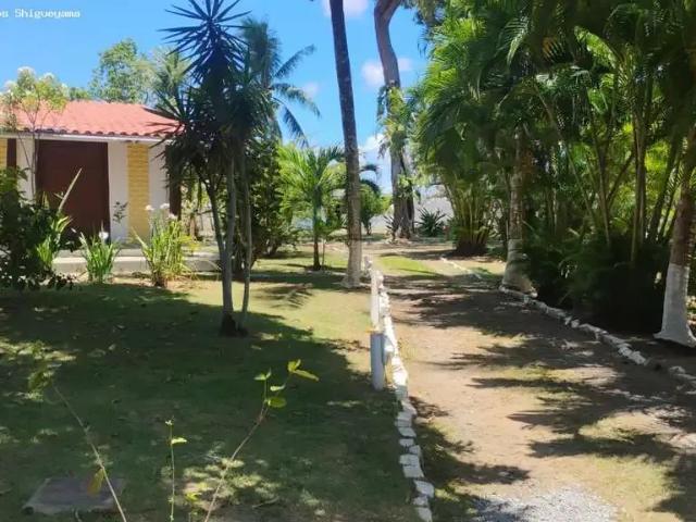 Sítio e chácara venda em Região Geográfica Imediata de Salvador, Região Metropolitana de Salvador