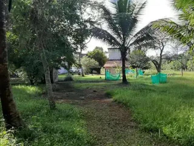 Sítio e chácara venda em Região Geográfica Imediata de Salvador, Região Metropolitana de Salvador