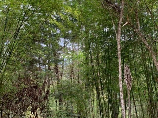 Sítio e chácara venda em Região Geográfica Imediata de Pouso Alegre, Camanducaia
