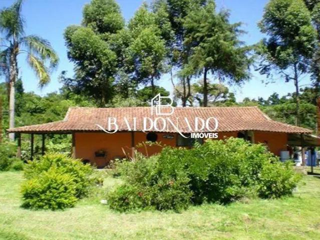 Sitio venda em Camanducaia, Quadrante Noroeste