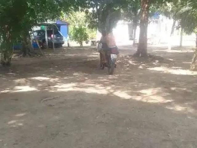 Sítio e chácara venda em Nordeste, Custodia