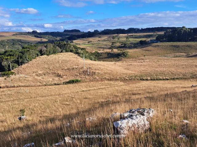 Sítio e chácara venda em Região Geográfica Imediata de Caxias do Sul, Cambara do Sul