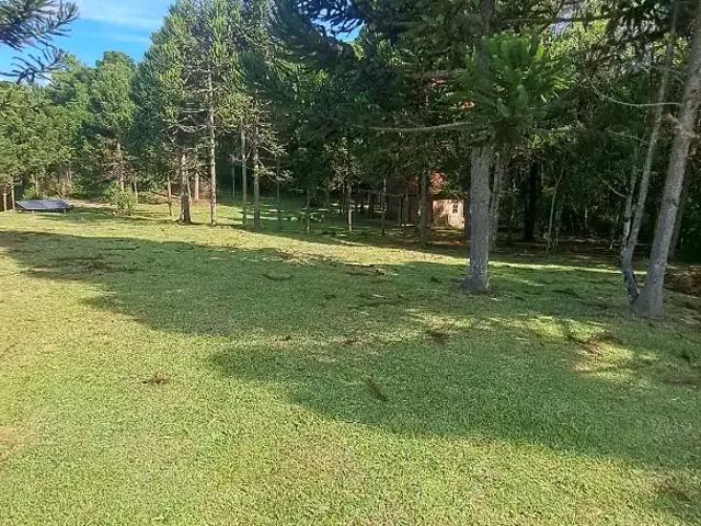 Sítio e chácara venda em Região Geográfica Imediata de Caxias do Sul, Cambara do Sul