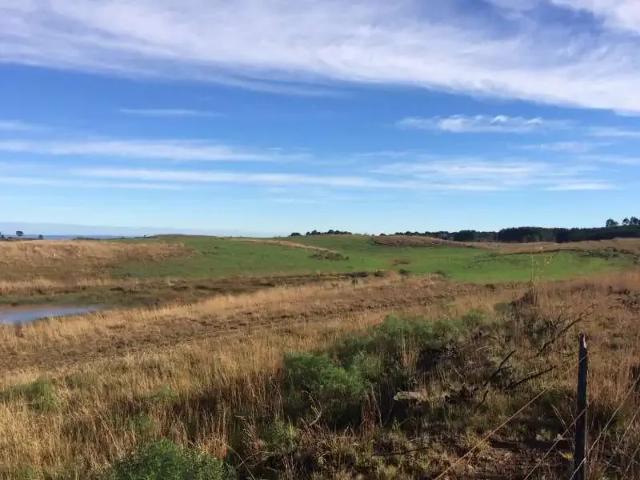 Sítio e chácara venda em Região Geográfica Imediata de Caxias do Sul, Cambara do Sul