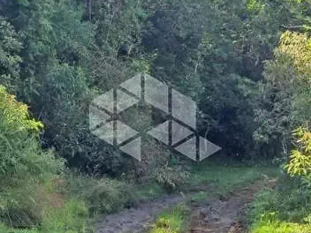 Sítio e chácara venda em Região Geográfica Imediata de Caxias do Sul, Cambara do Sul