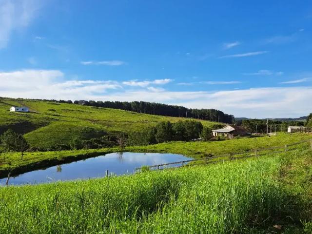 Sítio e chácara venda em Região Geográfica Imediata de Caxias do Sul, Cambara do Sul